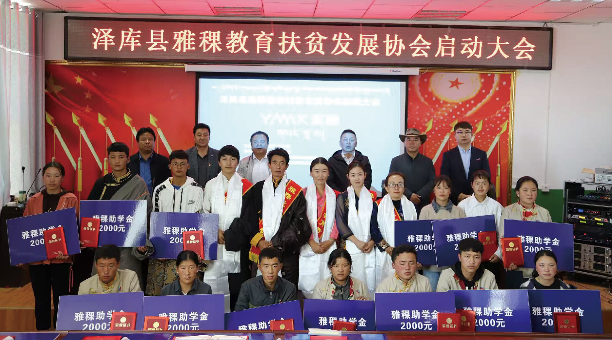 新折页设计