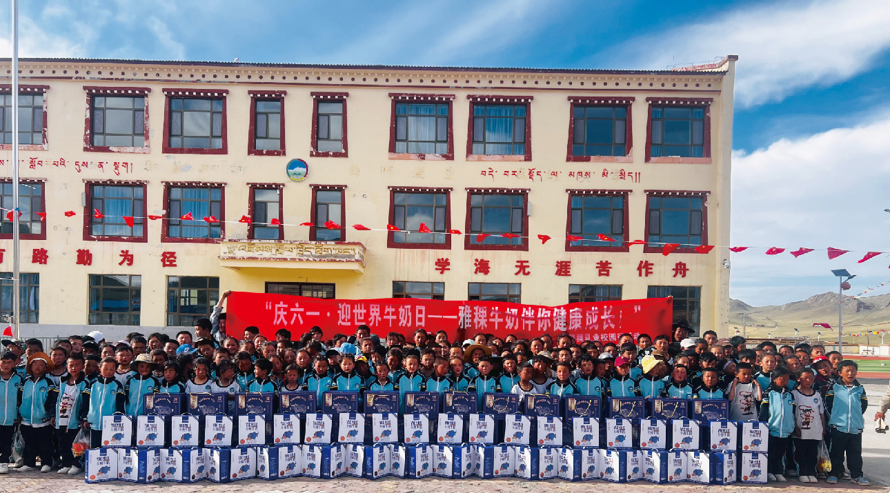 新折页设计